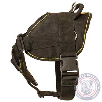 Large Dog Harness with Handle