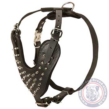 Mastiff Leather Harness for Dogs