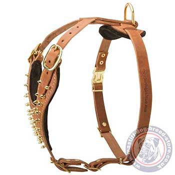 Large Dog Harness for Mastiff