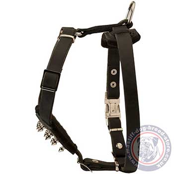 Mastiff Puppy Adjustable Dog Harness