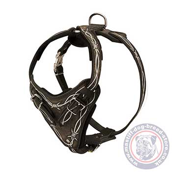 Strong Dog Harness for Mastiff Training