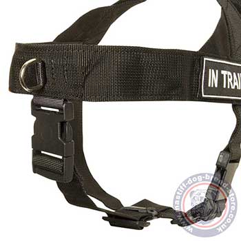 Training Dog Harness for Mastiff