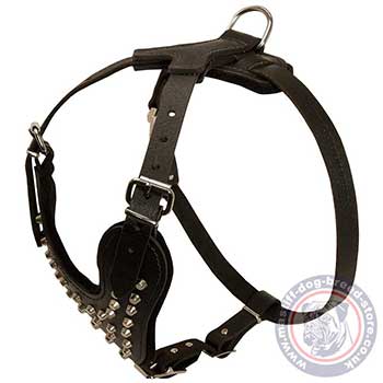 Walking Cane Corso Leather Harness for Dog's Comfort