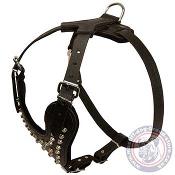 Walking Dog Harness for Mastiff