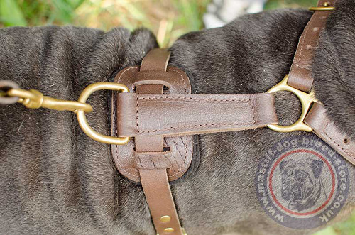 Handmade Leather Dog Harness for Mastiff