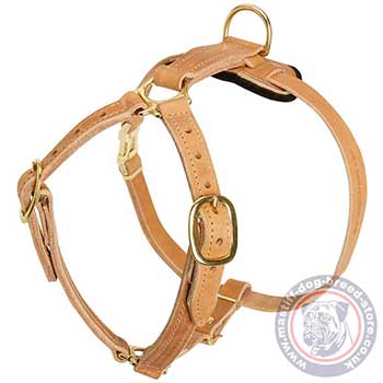 2 Ply Leather Dog Harness for Mastiff