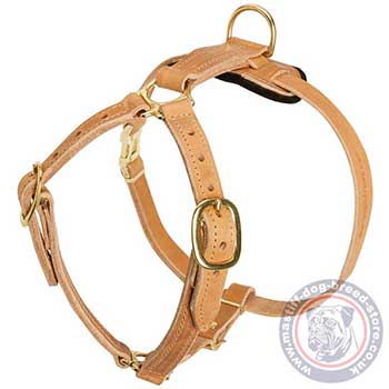 Mastiff Walking Luxury Dog Harness