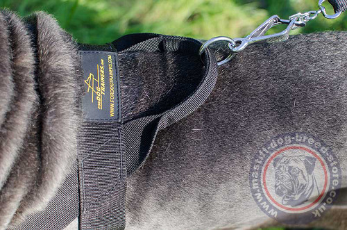Neapolitan Mastiff Training Dog Harness with Handle