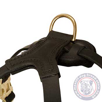 Modern Dog Harness Leather