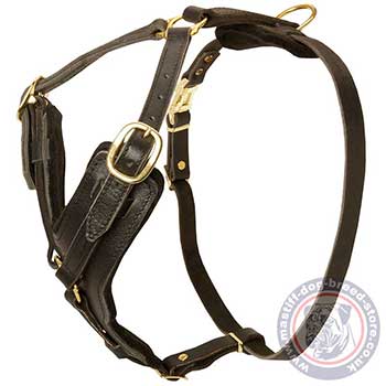 Tibetian Mastiff Dog Padded Harness