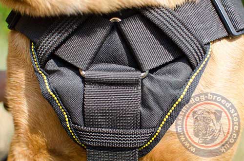 Cane Corso Harness