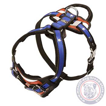 Designer Leather Dog Harness for Mastiff Breed