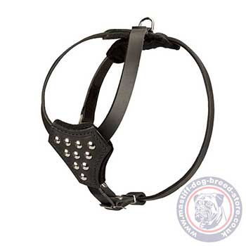 Leather Dog Harness for Mastiff Puppies
