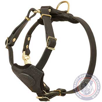 Mastiff Puppy Harness