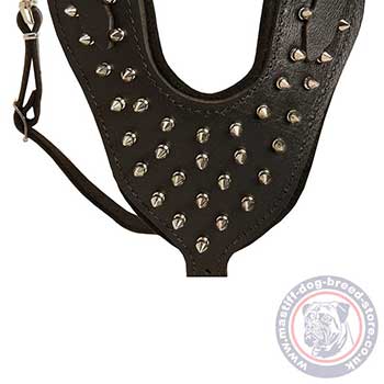 Spiked Dog Harness for Mastiff