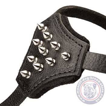 Spiked Dog Harness for Small Dogs