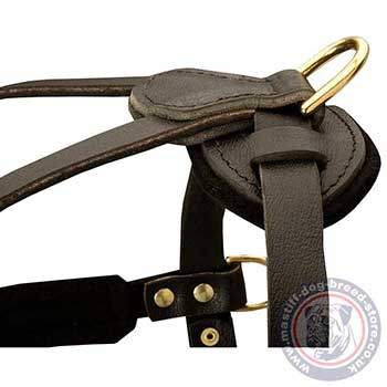 Strong Leather Dog Harness for Mastiff