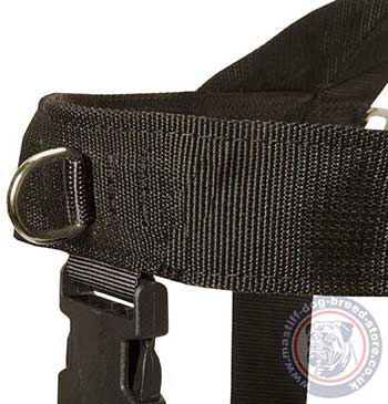 Neapolitan Mastiff Training Dog Harness