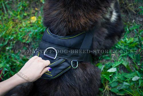 Nylon Dog Harness for Tibetian Mastiff