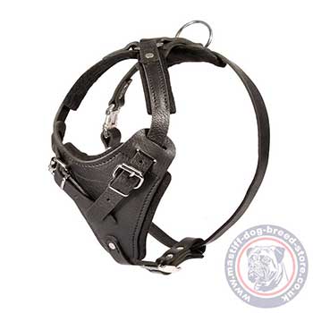 Tibetian Mastiff Training Dog Harness