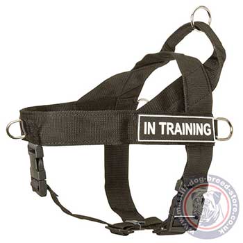 Anti Pulling Dog Harness for Mastiff