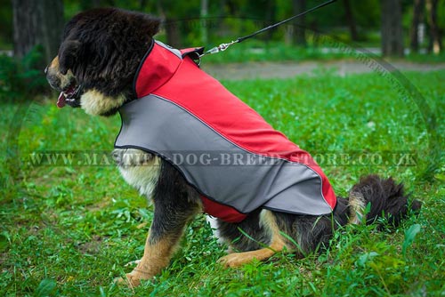 Buy Tibetian Mastiff Jacket UK