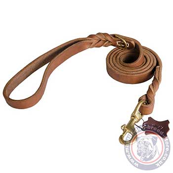 Braided Leather Dog Lead for Mastiff