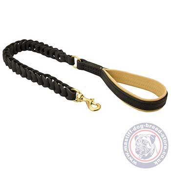 Dog Running Leash for Mastiff