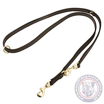 Nylon Dog Leadwith 2 Clips