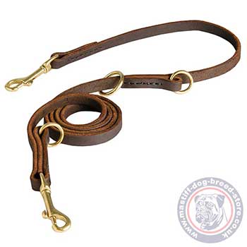 Multi Dog Leash with 2 Snap Hooks and 3 Rings