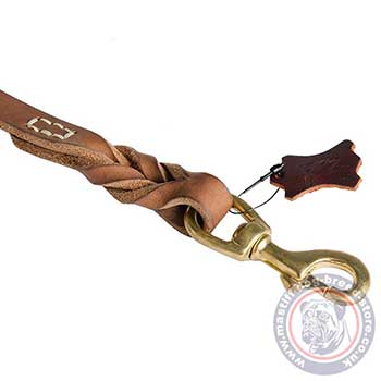 Best Braided Leather Dog Lead