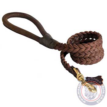 Leather Braided Dog Leash with Handle