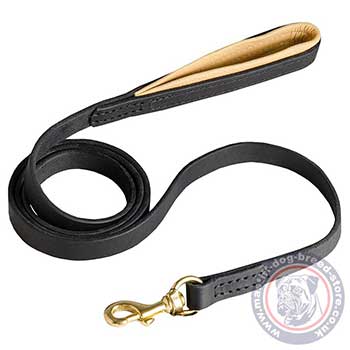 Running Dog Leash for Mastiff Training