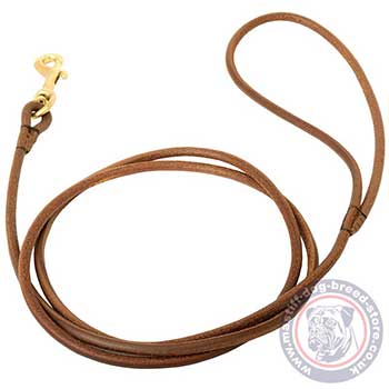 Buy Mastiff Show Dog Lead