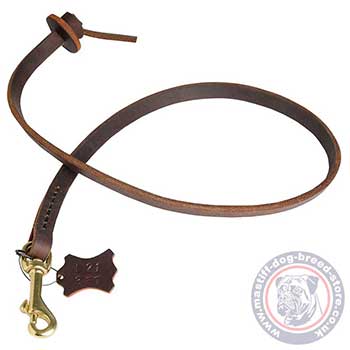 Brown Leather Training Lead