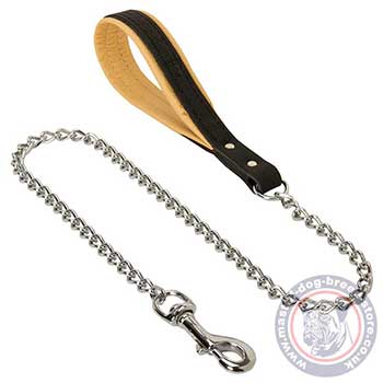 Mastiff Dog Lead Chain