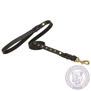 Designer Dog Lead for Mastiff Walking