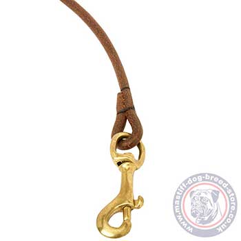 Mastiff Breeds Show Dog Lead