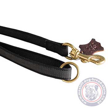 Mastiff Leash UK