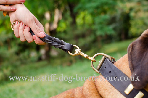 Short Mastiff Leash