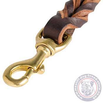 Braided Leather Dog Lead for Mastiff