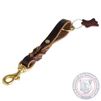 Leather Dog Training Lead Mediator