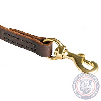 Strong Mastiff Leash for Big Strong Dogs