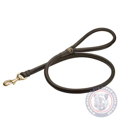 Extra Strong Dog Lead for Mastiff