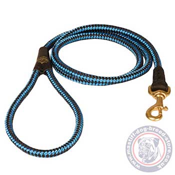Strong Dog Lead for Mastiff