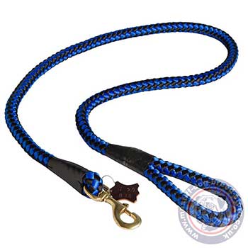 Blue Nylon Strong Dog Lead