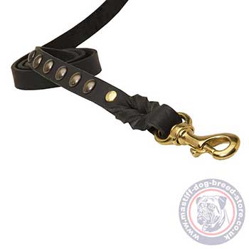 Mastiff Leash UK