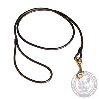 Mastiff Dog Show Leash