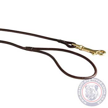 Mastiff Dog Show Leash with Handle