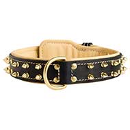Luxury Super Soft Padded and Strong Dog Collar with Spikes